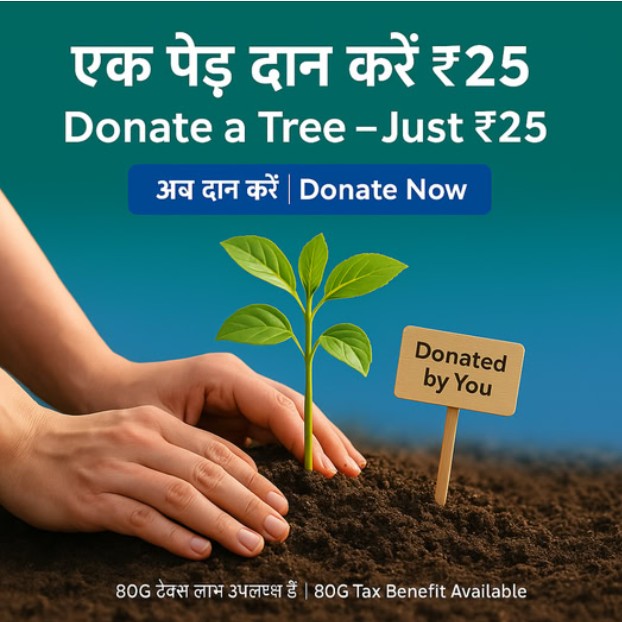 Plant a Tree